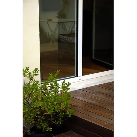 Apartament Domus 5 *